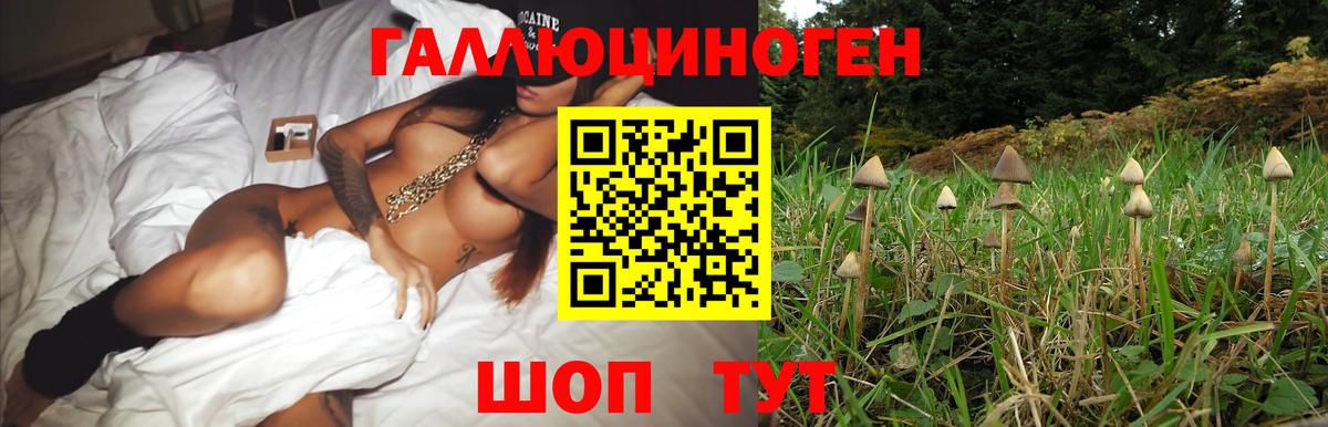 Псилоцибиновые грибы Magic Shrooms  Галлюциногенные грибы GOLDEN TEACHER  Ростов Великий  Вход с VPN 