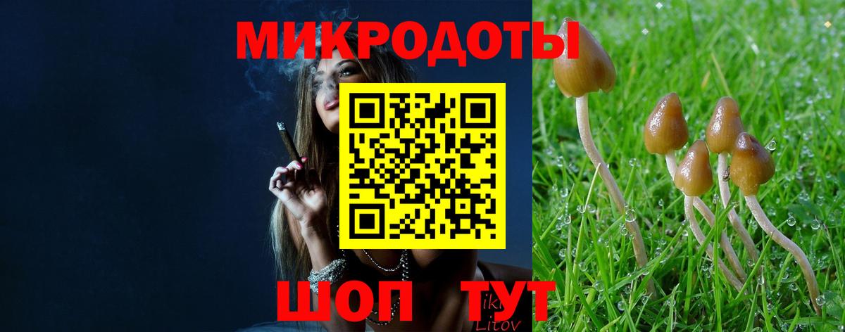 Галлюциногенные грибы GOLDEN TEACHER Ростов Великий